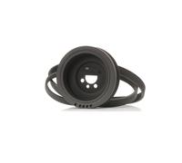 RIDEX 542R0661 V-Ribbed Belt Set