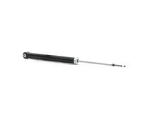 RIDEX 854S1356 Shock absorber