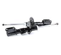 RIDEX 854S1620 Shock absorber