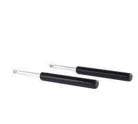 RIDEX 854S1754 Shock absorber