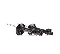 RIDEX 854S18052 Shock absorber