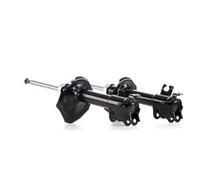 RIDEX 854S1846 Shock absorber