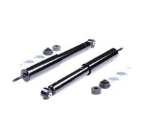 RIDEX 854S1847 Shock absorber