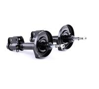 RIDEX 854S1905 Shock absorber