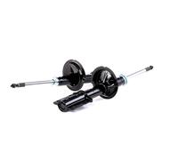 RIDEX 854S1969 Shock absorber