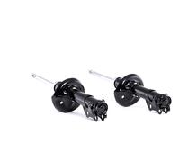 RIDEX 854S1999 Shock absorber