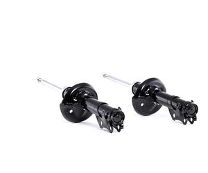 RIDEX 854S1999 Shock absorber