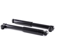 RIDEX 854S2081 Shock absorber