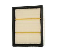 RIDEX 8A0108 Air filter