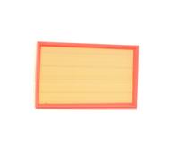 RIDEX 8A0113 Air filter