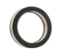 RIDEX 8A0203 Air filter