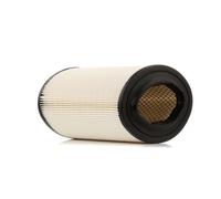 RIDEX 8A0253 Air filter