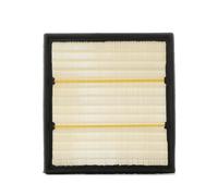 RIDEX 8A0381 Air filter