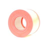 RIDEX 8A0412 Air filter