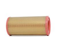 RIDEX 8A0424 Air filter