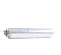 RIDEX 9F0216 Fuel filter
