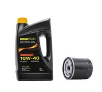 RIDEX PLUS 100908O0013P Oil change kit (oil filter + engine oil)