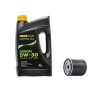 RIDEX PLUS 100908O0149P Oil change kit (oil filter + engine oil)
