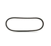 RIDEX PLUS 10C0004P V-Belt
