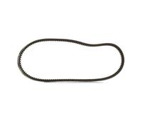 RIDEX PLUS 10C0019P V-Belt