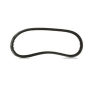 RIDEX PLUS 10C0023P V-Belt