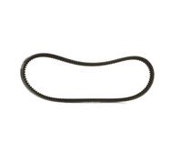 RIDEX PLUS 10C0024P V-Belt