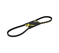 RIDEX PLUS 10C0030P V-Belt