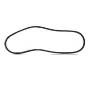 RIDEX PLUS 10C0120P V-Belt