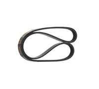 RIDEX PLUS 305P0019P Serpentine belt