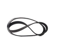 RIDEX PLUS 305P0037P Serpentine belt