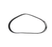 RIDEX PLUS 305P0049P Serpentine belt