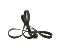 RIDEX PLUS 305P0119P Serpentine belt