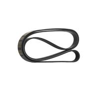 RIDEX PLUS 305P0142P Serpentine belt