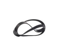 RIDEX PLUS 305P0451P Serpentine belt
