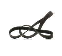 RIDEX PLUS 305P0501P Serpentine belt