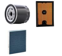 RIDEX PLUS 4055F20108P Filter kit
