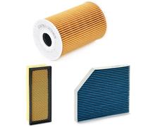 RIDEX PLUS 4055F2983P Filter kit