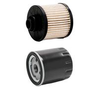 RIDEX PLUS 4055F34642P Filter kit