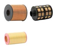 RIDEX PLUS 4055F7964P Filter kit