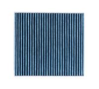 RIDEX PLUS 424I0484P Pollen filter