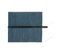 RIDEX PLUS 424I0629P Pollen filter