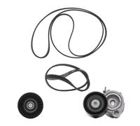 RIDEX PLUS 542R0071P V-Ribbed Belt Set