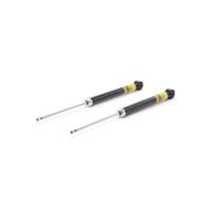 RIDEX PLUS 854S18811P Shock absorber