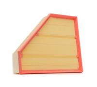 RIDEX PLUS 8A0032P Air filter