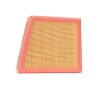 RIDEX PLUS 8A0758P Air filter