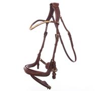 Riding bridle Kavalkade Caliano English Nb. With Flash