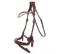 Riding bridle Kavalkade Caliano Via English Nb. With Flash