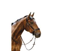 Riding bridle Norton Bitless