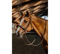 Riding bridle Norton Hunter Fancy