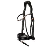 Riding Bridle + Noseband Harry's Horse Lacque II